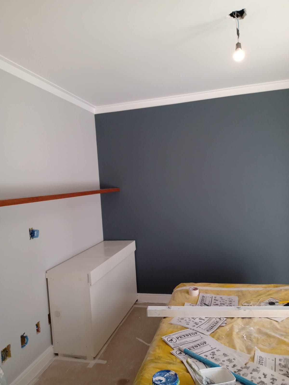 17347efd-d6b4-4635-8f94-32772dcea204